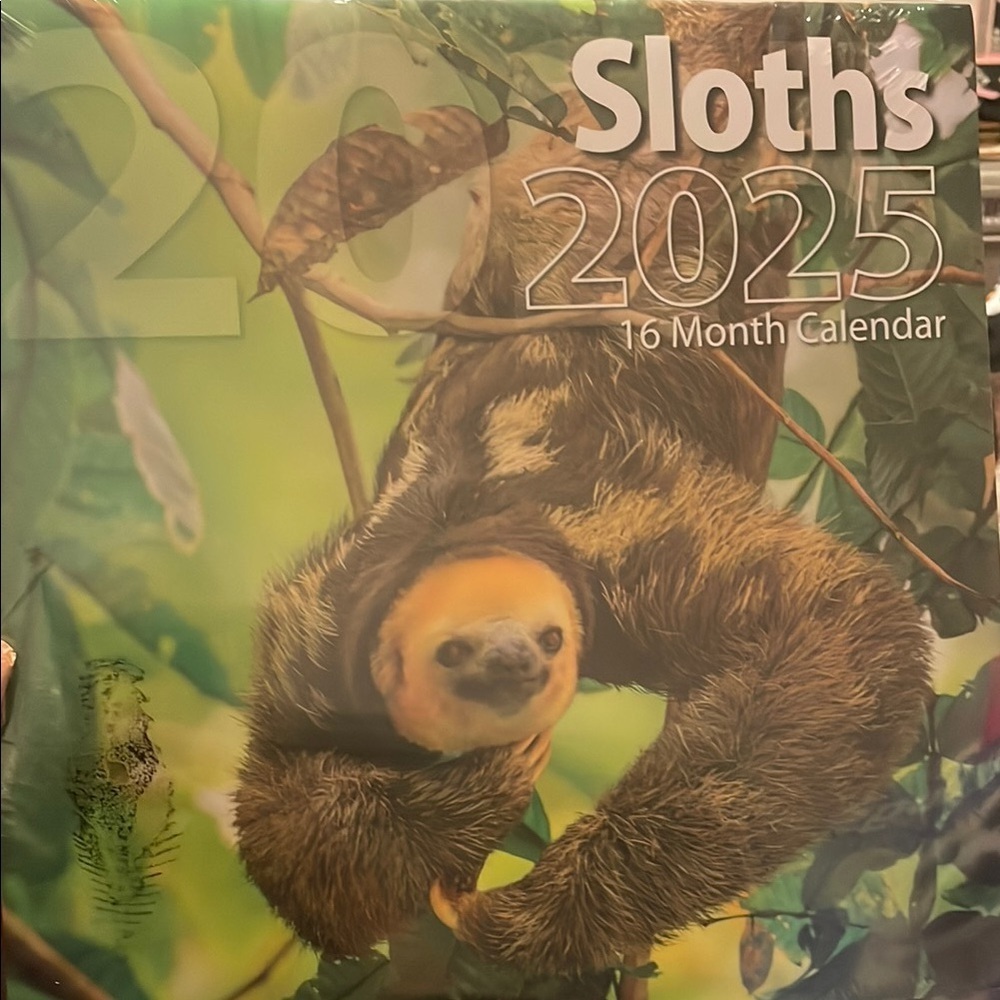 Sloths 2025 16-Month Calendar - Green and Brown